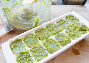 Basil Pesto