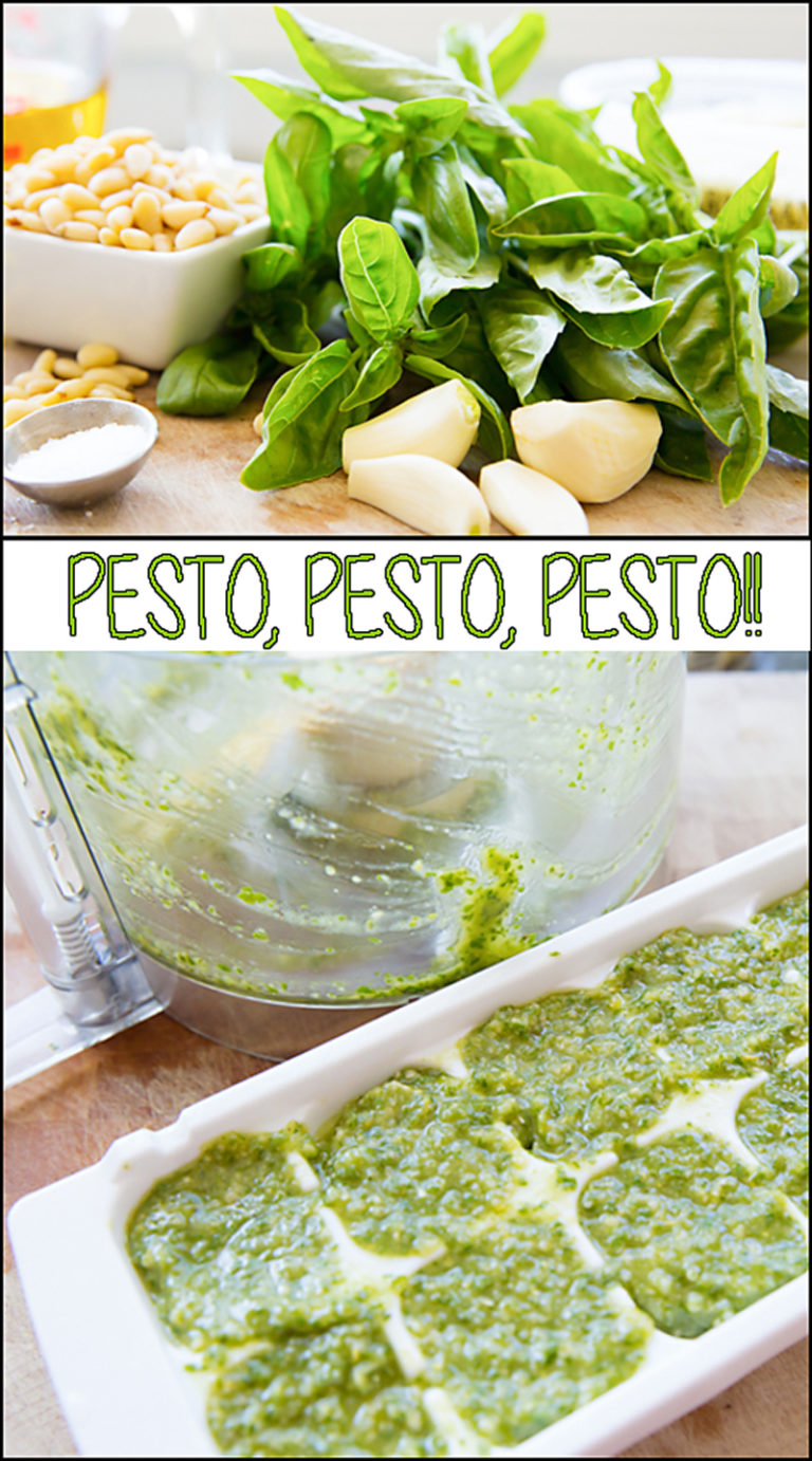 Basil Pesto (make it and freeze it) Joy In Every Season