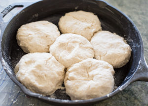 Biscuit Berry Shortcake