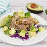 Healthy Pork Carnitas